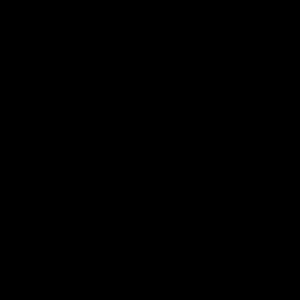 Meet your Posher, Anne